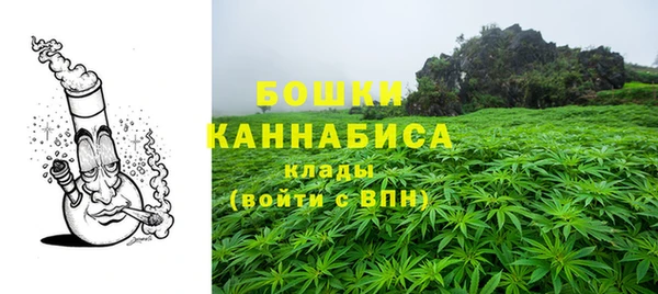 соль ск Арсеньев