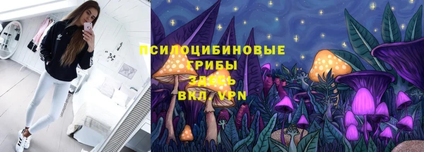 прущие крисы Аркадак