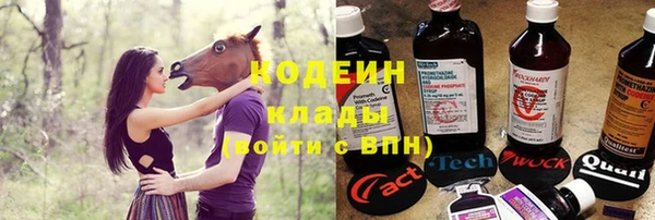 соль ск Арсеньев