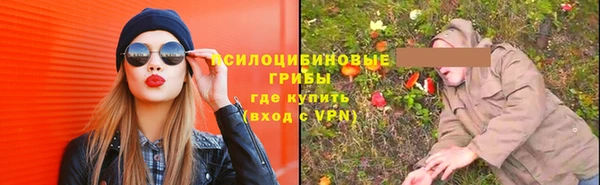 прущие крисы Аркадак